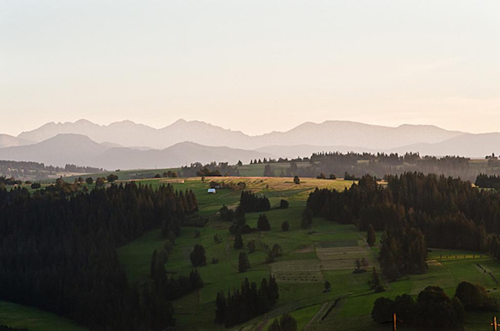 Vila Mietowa Gorka Zab Pokoj fotografie